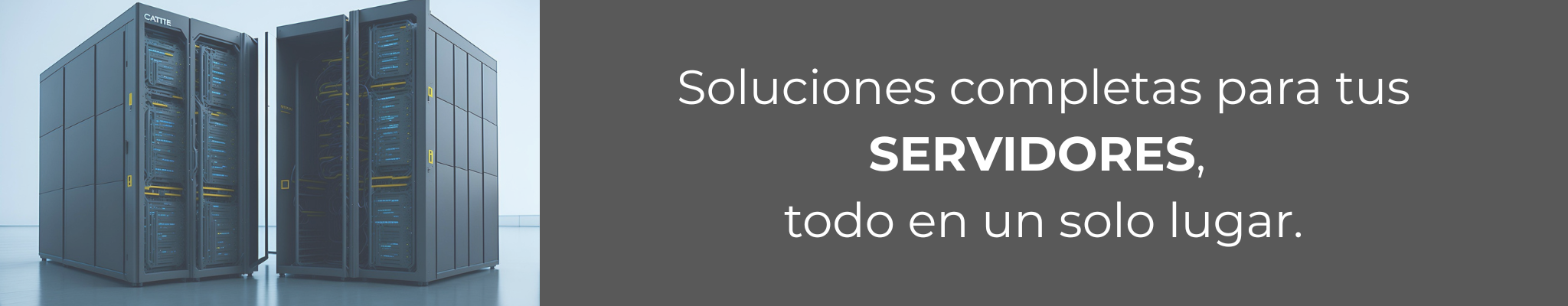 Agregar un subtítulo (1)